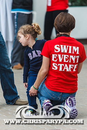 Penguin Swim 2013