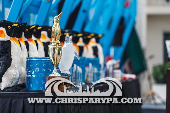 Penguin Swim 2013