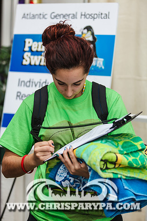 Penguin Swim 2013