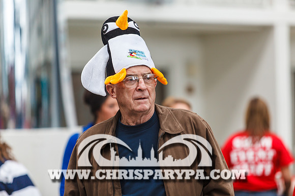 Penguin Swim 2013