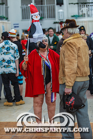Penguin Swim 2013