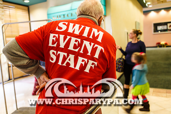 Penguin Swim 2013