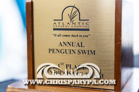 Penguin Swim 2013