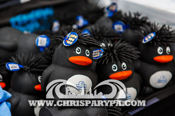 Penguin Swim 2013