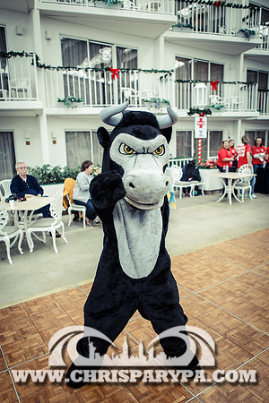 Penguin Swim 2013