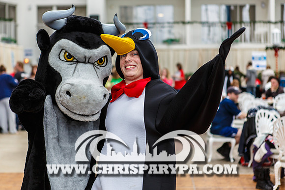 Penguin Swim 2013
