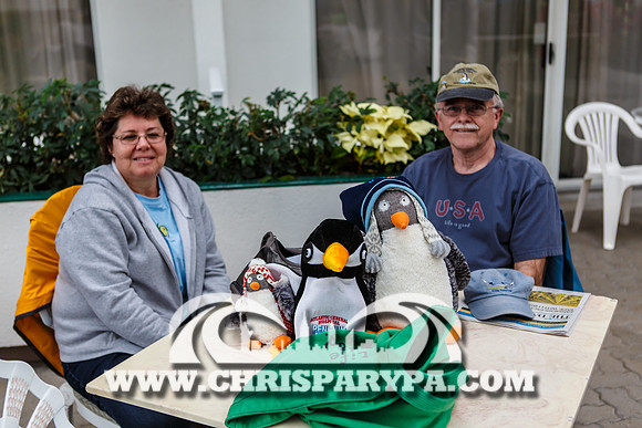 Penguin Swim 2013