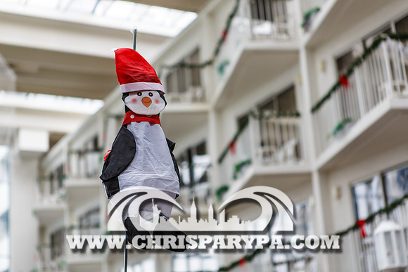 Penguin Swim 2013